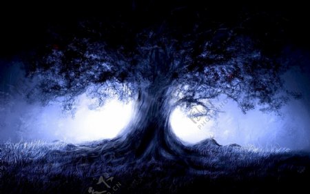 夜晚的树高清图片