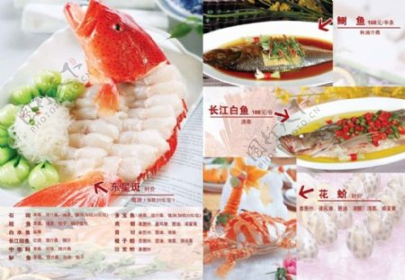 长江白鱼菜单