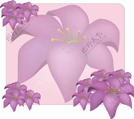 印花矢量图优雅植物色彩紫色红色免费素材