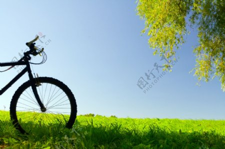 春天里的自行车