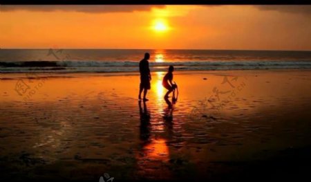 金色海岸情侣背景视频图片