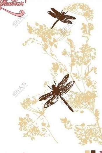 蜻蜓设计图片