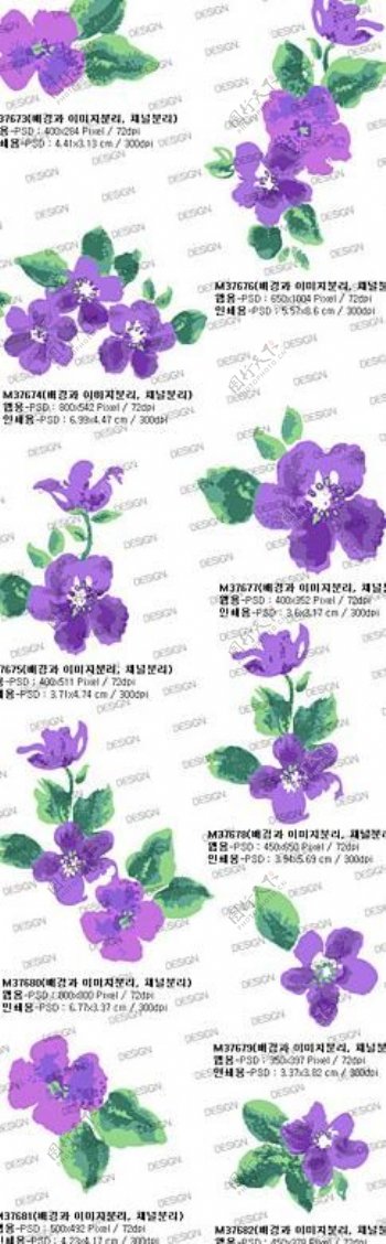 水彩效果花卉紫罗兰PSD分层素材