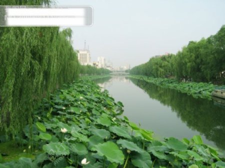 许昌护城河