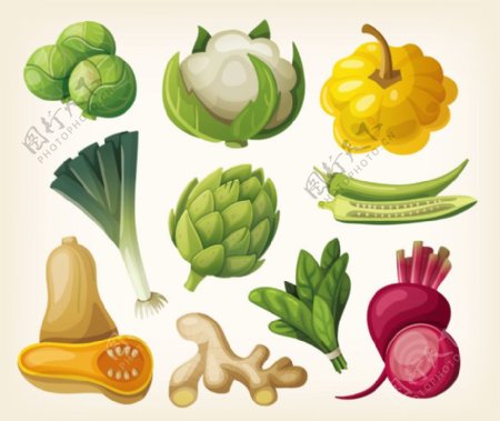 卡通蔬菜设计矢量图