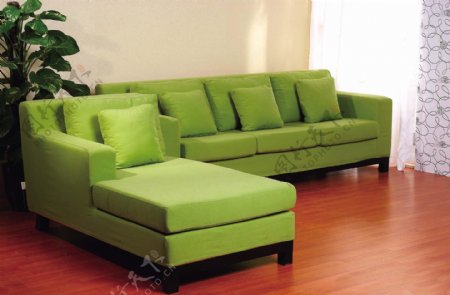 绿色沙发