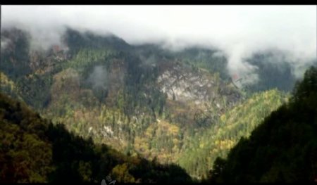 山峰云雾风景画视频图片
