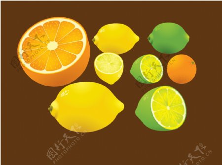 柠檬与橙子矢量水果素材