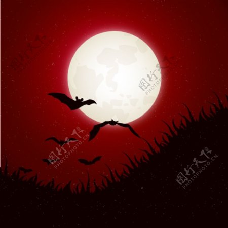 月夜蝙蝠背景矢量素材