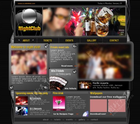 国外娱乐酒吧夜总会类网页模板图片