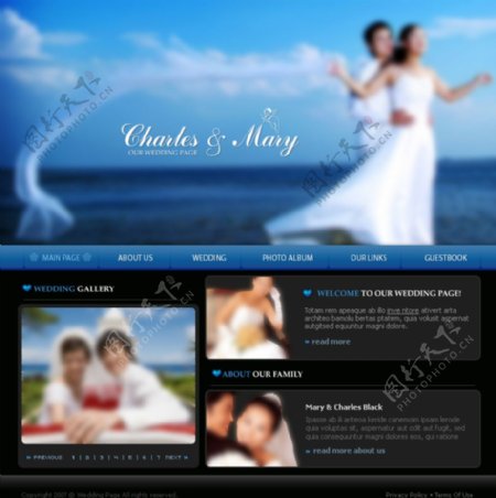 国外唯美爱情网页网站模板设计图片