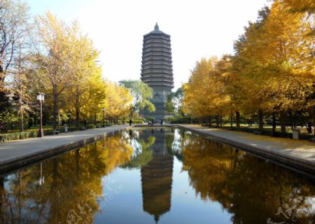 北京慈寿寺玲珑塔图片