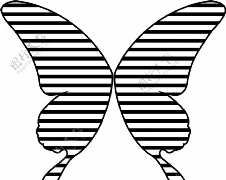 线条蝴蝶图图片