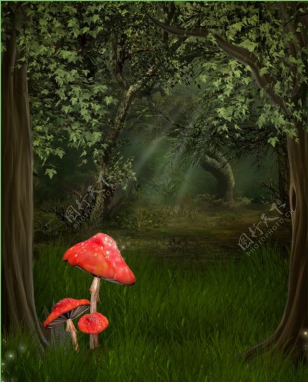 梦幻森林童话世界蘑菇图片