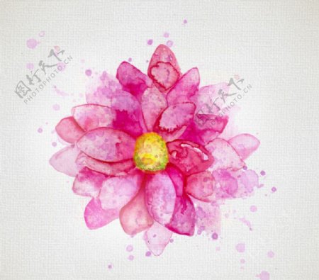 水彩大丽菊花朵矢量素材图片