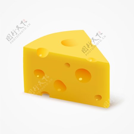 三角奶酪矢量图图片