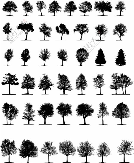 树剪影矢量图片