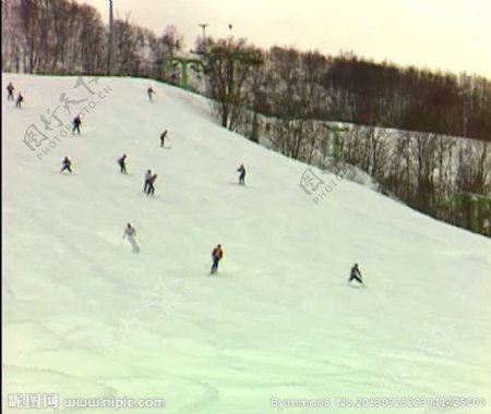 雪山滑雪森林视频素材