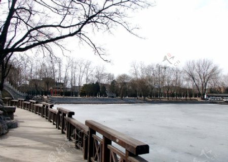 冬日公园图片