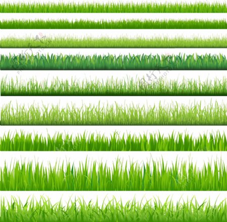 矢量素材绿色小草背景图片