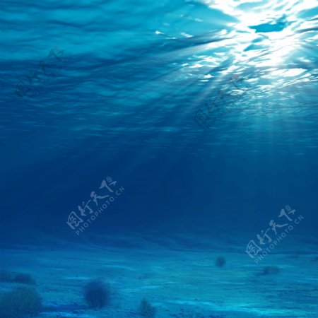 阳光下的海底图片