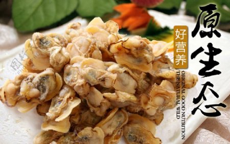蛤蜊肉蛏子图片