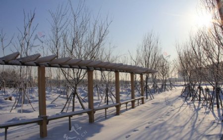 辽宁师范大学海华学院湖边雪景图片
