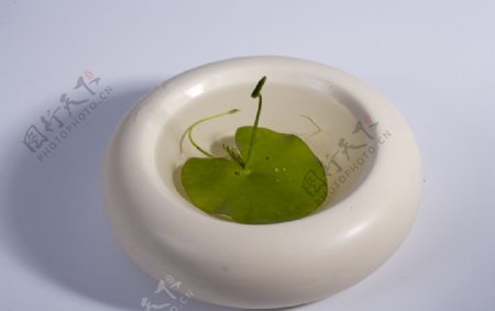 陶碗与绿叶图片