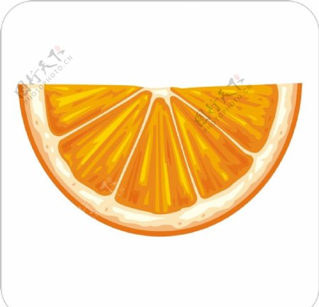 香橙片图片