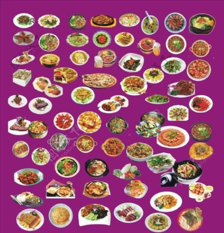 食物集锦菜图片