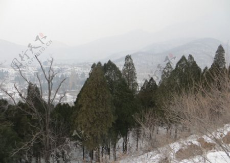 嵩岳冬季风光图片
