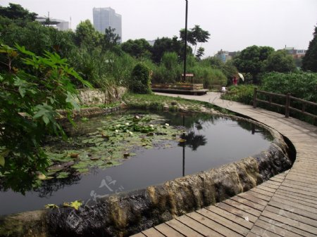 成都活水公园净化池之一图片