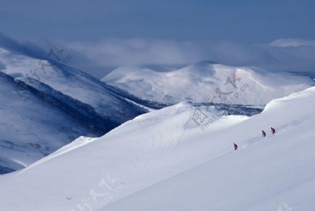 冬日运动滑雪图片