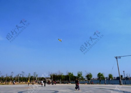 白塘公园广场放风筝图片