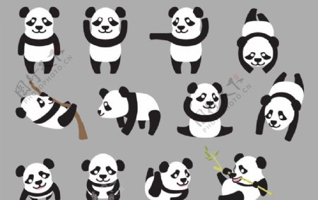 熊猫大图片