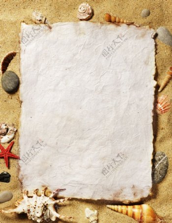沙滩牛皮纸海洋生物图片
