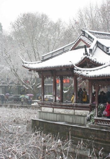 杭州西湖雪景图片