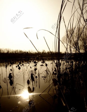 白浪河湿地公园图片