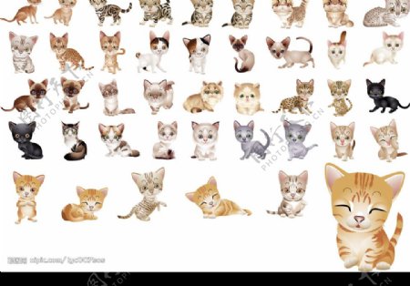 可愛貓咪矢量圖图片