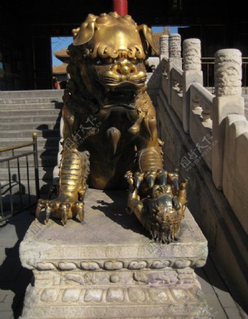 故宫铜狮图片