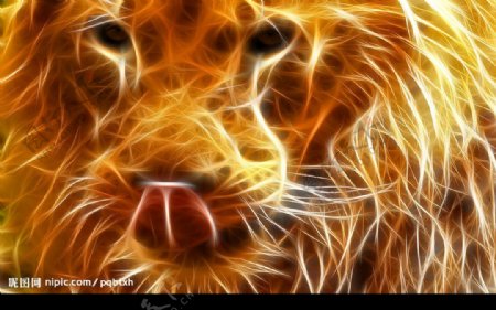 光线美图之虎狮兽图片