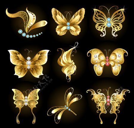 金色蝴蝶蜻蜓插画图片