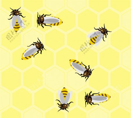 蜜蜂广告图片