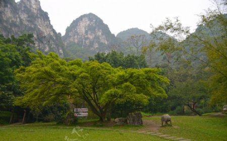 柳州公园图片