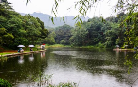 青岛中山公园图片