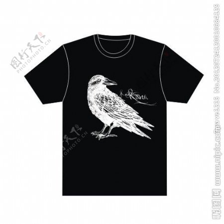 鸟图案T恤图片