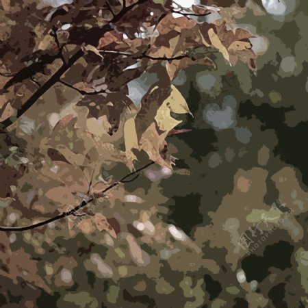 树叶抽象图图片