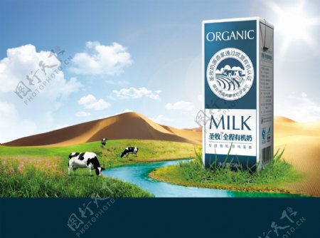 圣牧牛奶图片
