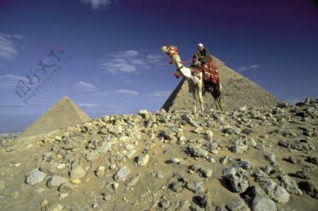 沙漠埃及图片