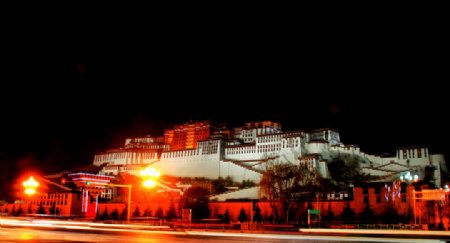 布达拉宫夜色图片
